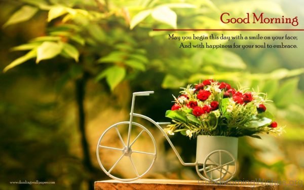 Good Morning Awesome Pic