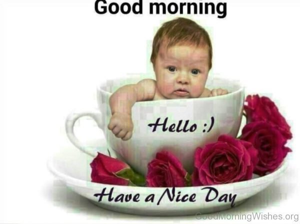 Good Morning Have A Nice Day 6
