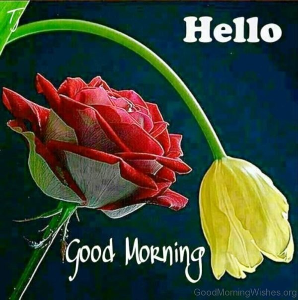 10 hello good morning wishes