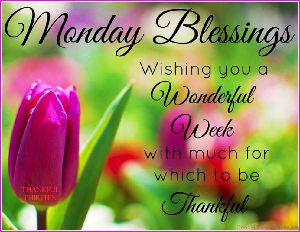 http://www.goodmorningwishes.org/wp-content/uploads/2016/11/Monday-Blessing-Wishing-You-A-Wonderful-Week.jpg
