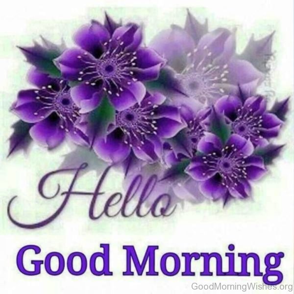 Wonderful Good Morning Pic 2