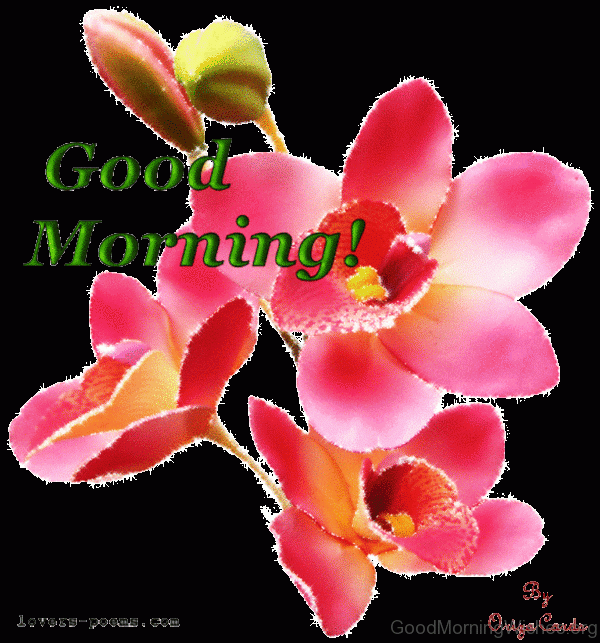 Good Morning 1 2