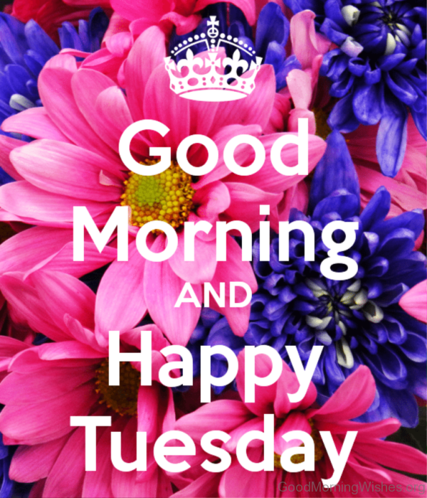 Good Morning And Happy Tuesday
