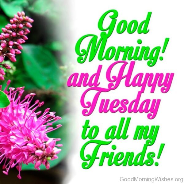 Good Morning And Happy Tuesday To All My Friends