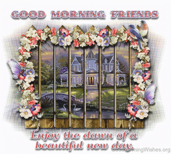 Good Morning Friends