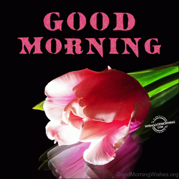 Good Morning Glitter Pic