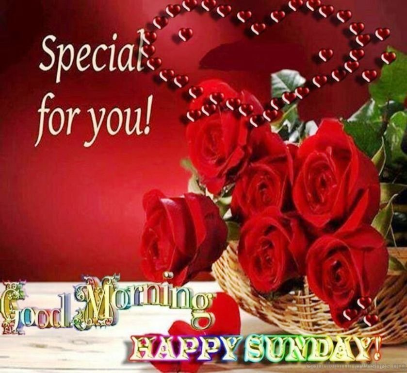 7 special good morning wishes