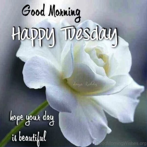 Good Morning Happy Tuesday Hope Your Day Is Beautiful