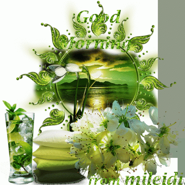 Good Morning Nice Pic