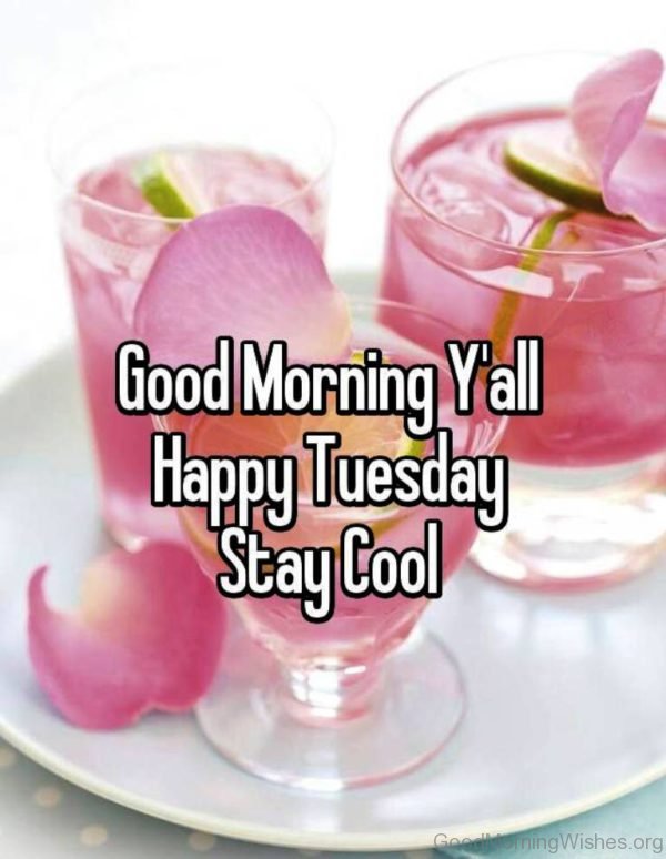 Good Morning Yall Happy Tuesday Stay Cool