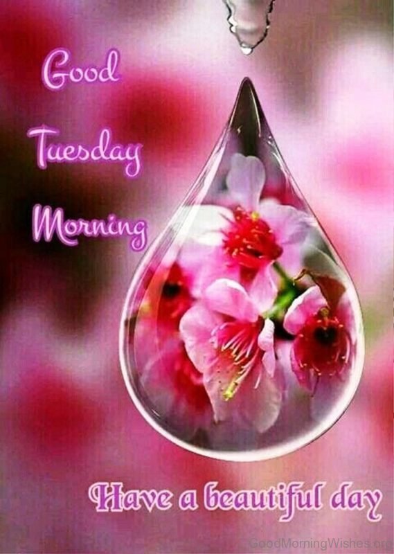 Good Tuesday Morning Have A Beautiful Day