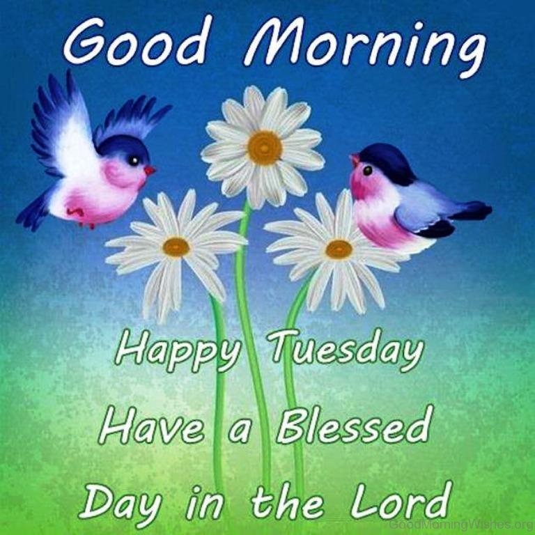 Image result for have a blessed tuesday