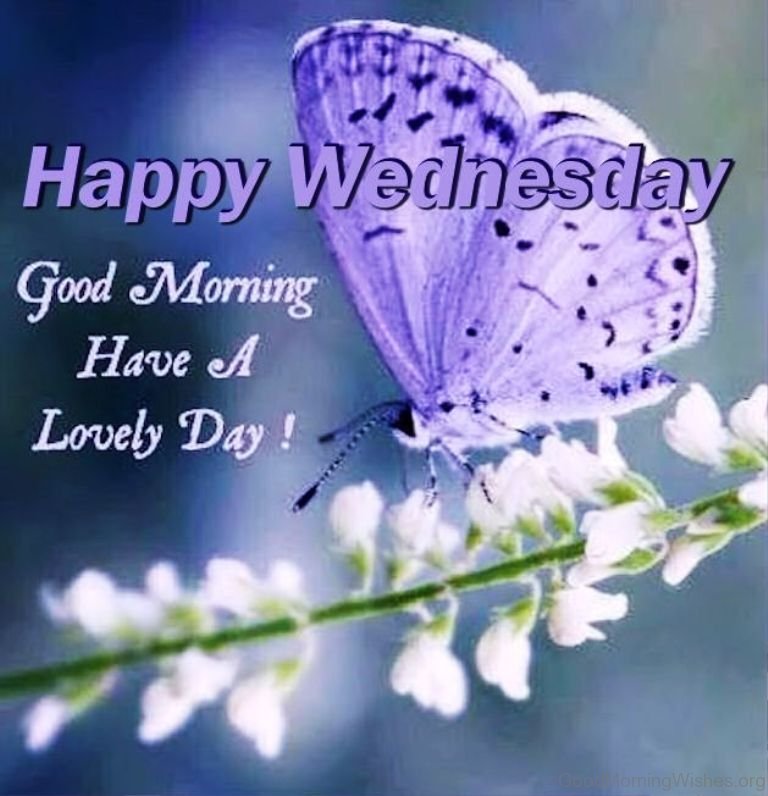 http://www.goodmorningwishes.org/wp-content/uploads/2016/12/Happy-wednesday-good-Morning-have-a-lovely-day.jpg