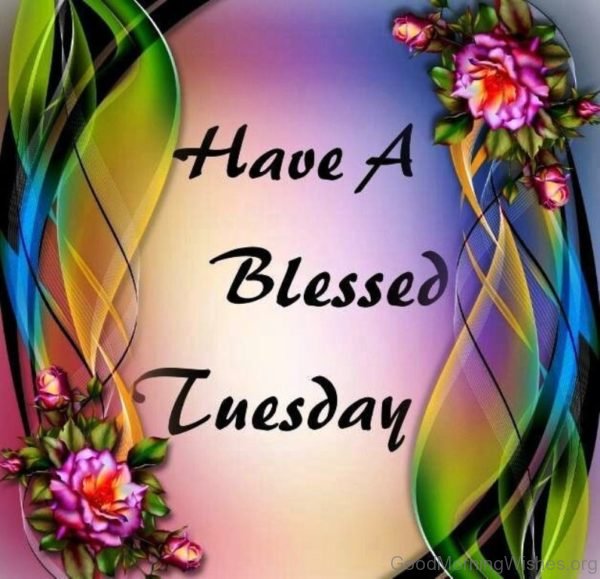 Have A Blessed Tuesday