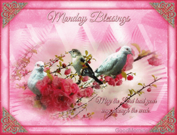 Monday Blessings