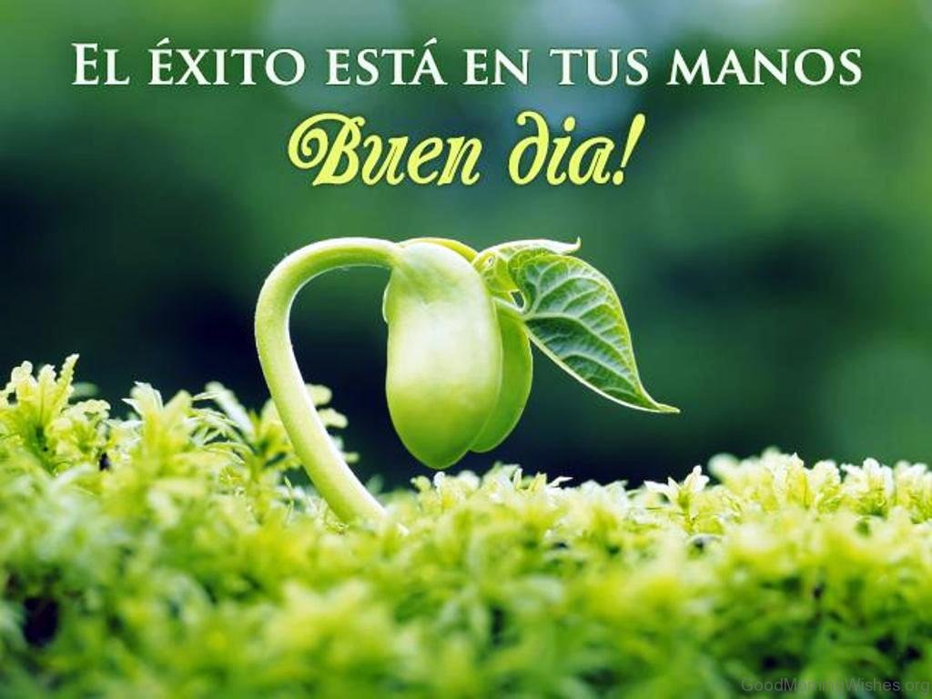 10 Good Morning Wishes In Spanish