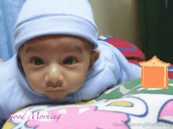 Awesome Good Morning Gif Pic