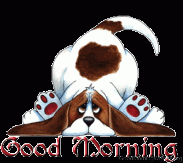 Beautiful Good Morning Image