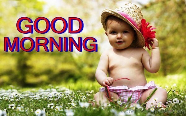 Beautiful Good Morning Photo