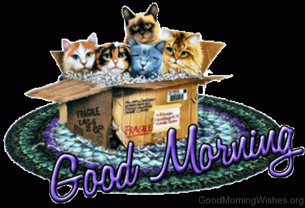 Fantastic Good Morning Pic