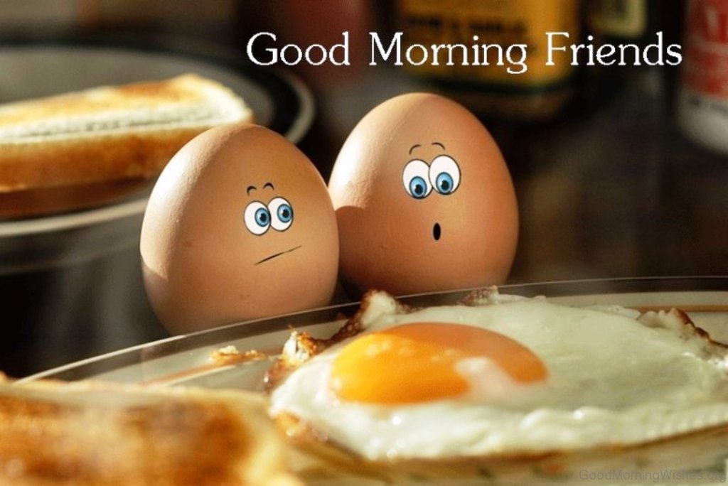 50 Funny Good Morning Wishes - Good Morning Wishes