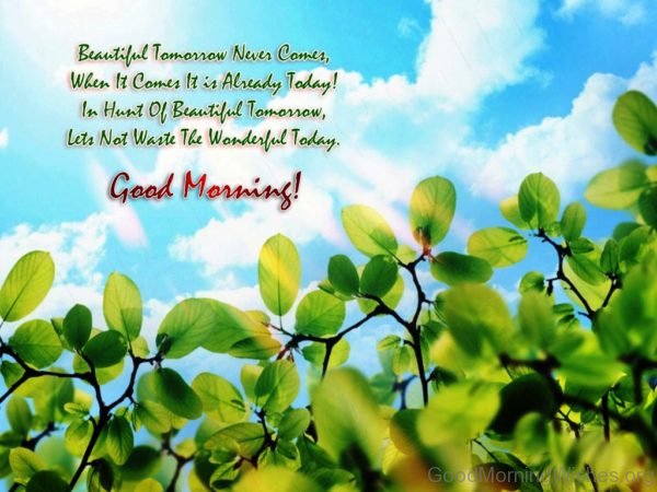 Good Moring Let Not Waste The Wonderful Today