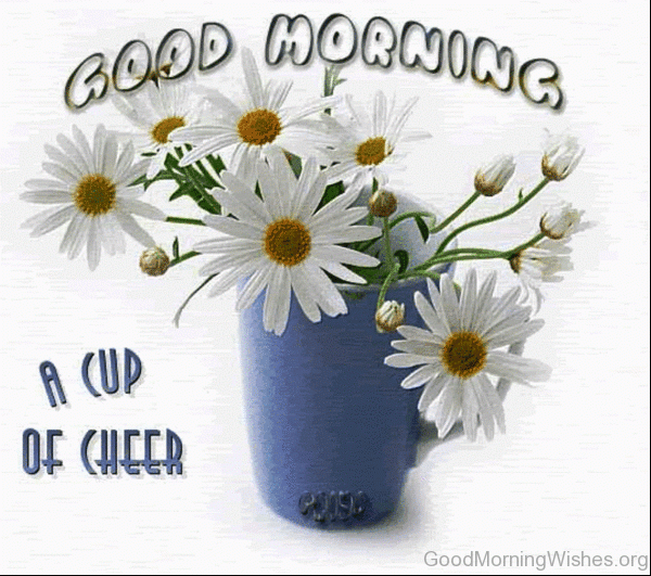 Good Morning A Cup Of Cheer