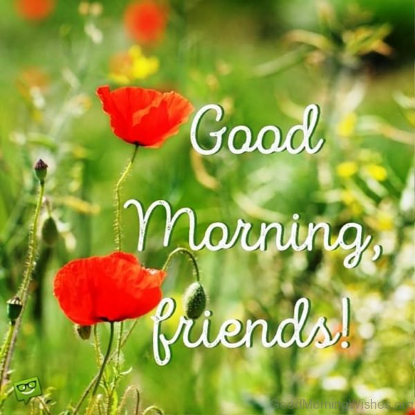 Good Morning Friends 