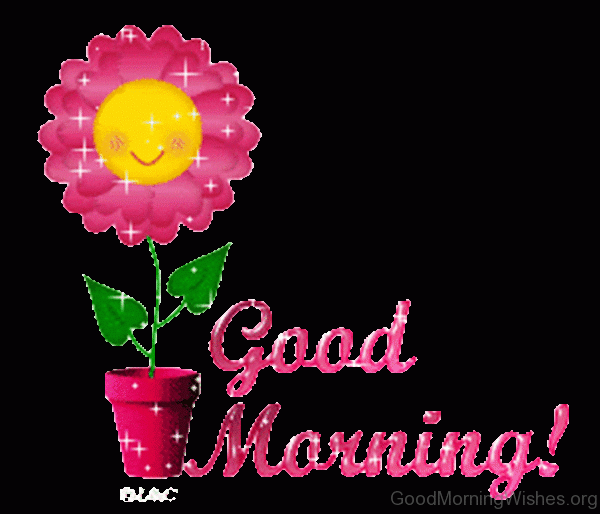 Good Morning Gif Pic