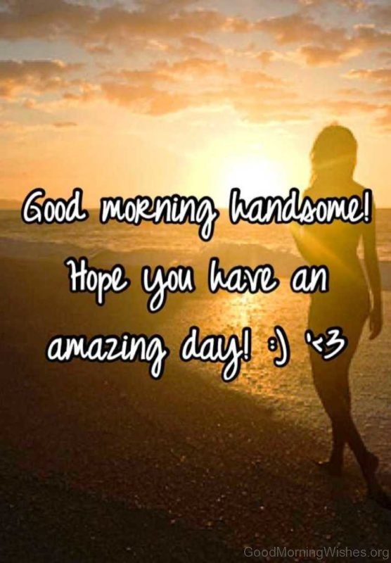Good Morning Handsome Hope You Have An Amazing Day