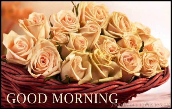 Good Morning Rose Flowers Images