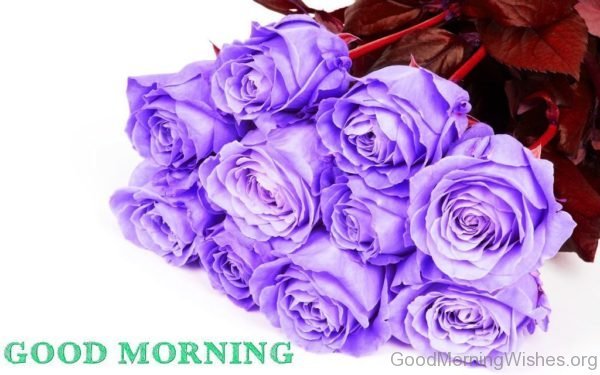 Good Morning Wishes With Flower