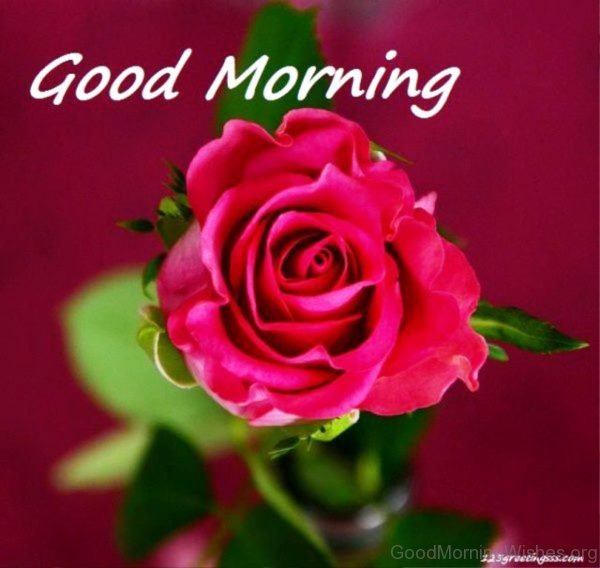 Good Morning Wishes With Flowers