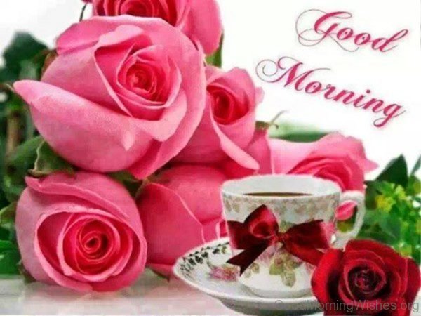 Good Morning Wishes With Roses