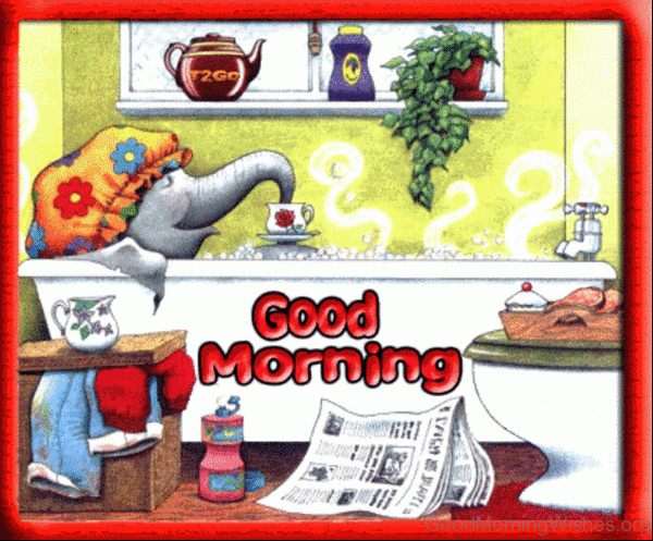 Good Morning With Elephant