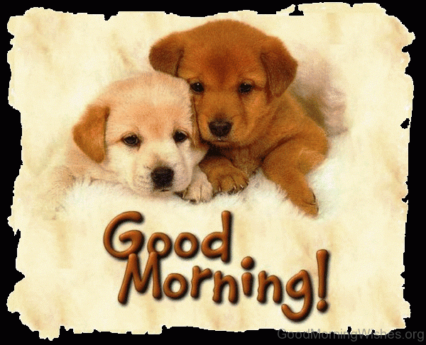 Good Morning With Puppy