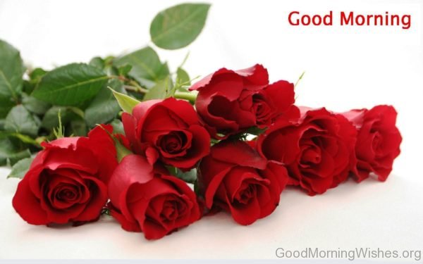 Good Morning With Red Rose Flower