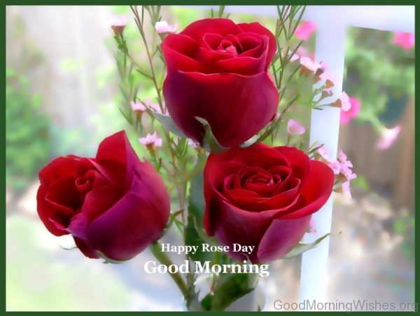 Happy Rose Day Good Morning