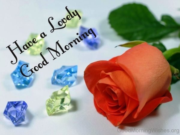 Have A Lovely Good Morning