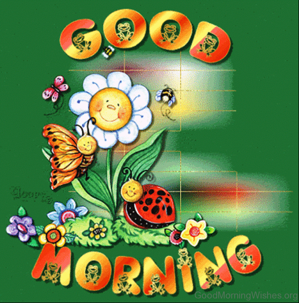 Lovely Pic Of Good Morning