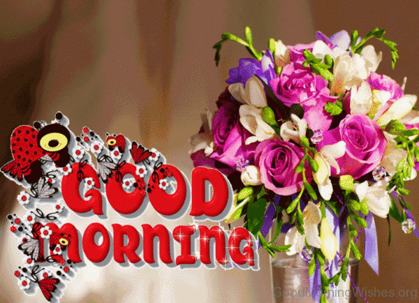 Nice Good Morning Image