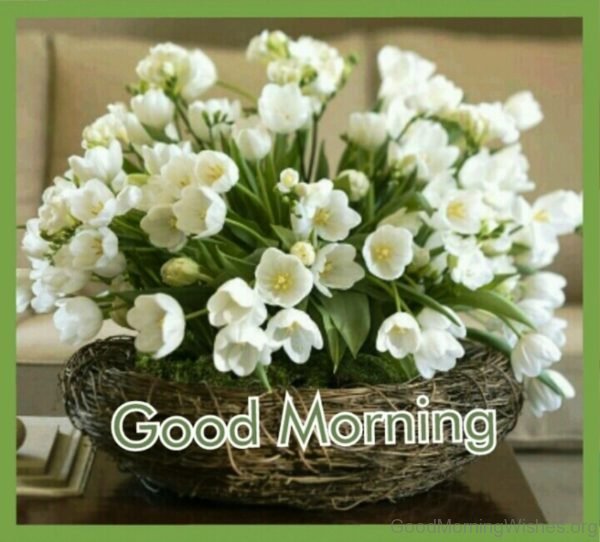Pic Of Good Morning With White Flowers