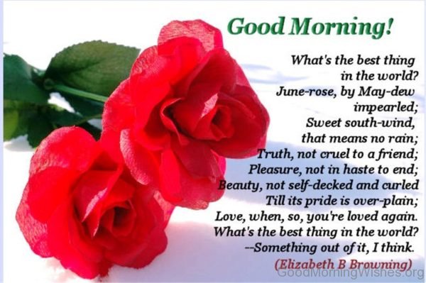 Very Good Morning Rose Flowers Image