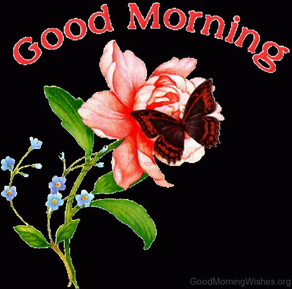 Very Good Morning With Flower