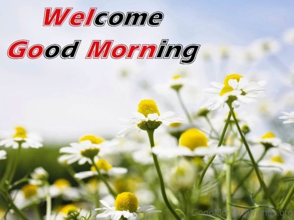 Welcome Good Morning