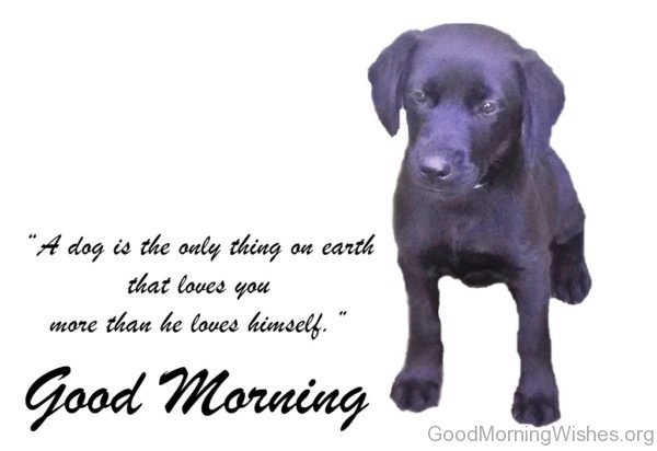 A Dog Is The Only Thing On Earth That Loves You