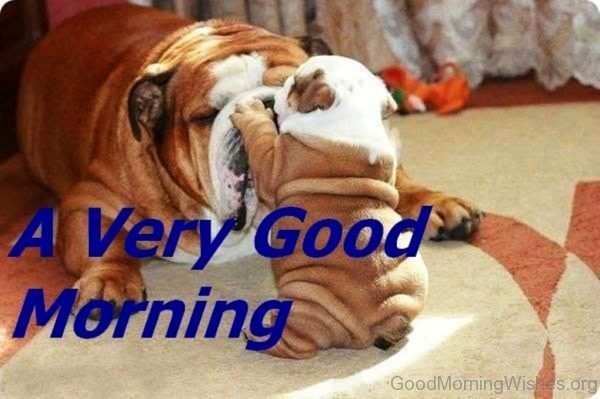 Adorable Pic Of Good Morning 5