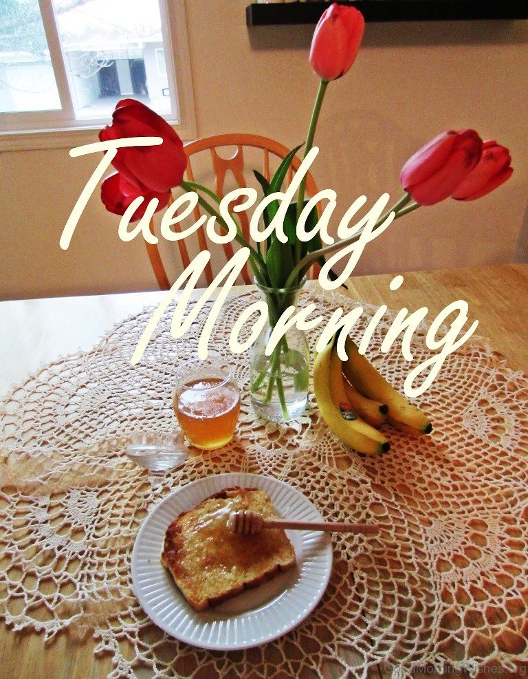 ᐅ111+ Beautiful Good Morning Tuesday Messages, Wishes Images