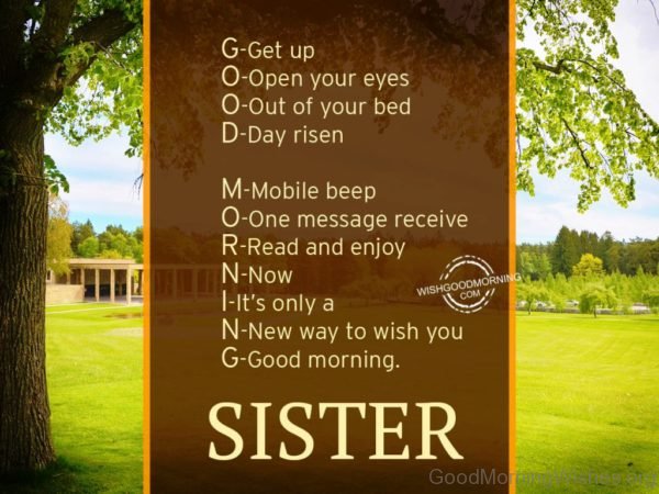 Amazing Pic Of Good Morning Sister