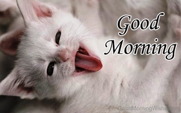 Cute Good Morning Picture